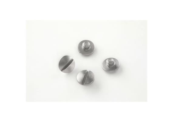 (4) Slotted Head Screws - Stainless