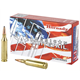 Hornady .243 Winchester 100gr InterLock 20 Schuss