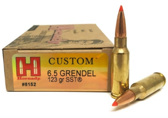 Hornady 6.5 Grendel 123 GR 20 Schuss