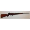 Repetierer Winchester Wildcat .22LR