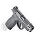 Pistole Smith & Wesson S&W M&P BODYGUARD 2.0 Series .380 Auto CARRY COMP