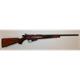 Repetierer Winchester Wildcat .22LR