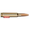 Norma 7.5x55 165grs Oryx 20 Schuss