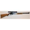 Unterhebelrepetierer Winchester Mod. 250 .22LR / .22 Short